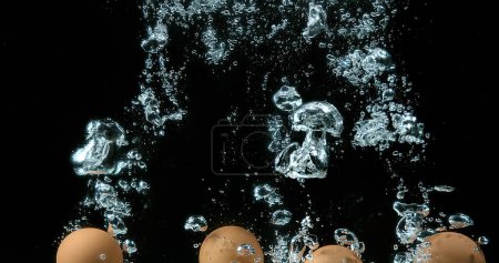 Photo for Chicken's Eggs entering Water against Black Background - Royalty Free Image