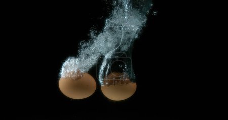 Foto de Huevos de pollo entrando al agua contra fondo negro - Imagen libre de derechos