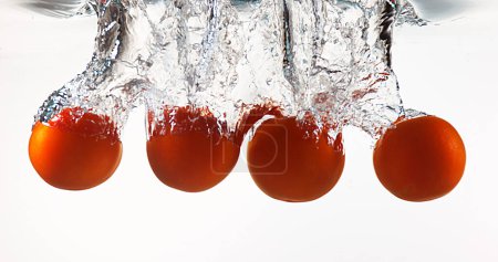 Photo for Red Tomatoes, solanum lycopersicum, Fruits falling into Water against White Background - Royalty Free Image