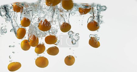 Photo for Kumquat, fortunella margarita, Fruits falling into Water against White Background - Royalty Free Image