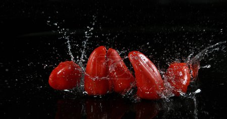 Photo for Red Sweet Peppers, capsicum annuum, Vegetable falling on Water against Black Background - Royalty Free Image
