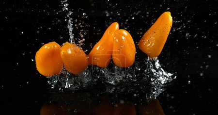 Photo for Yellow Sweet Peppers, capsicum annuum, Vegetable falling on Water against Black Background, - Royalty Free Image