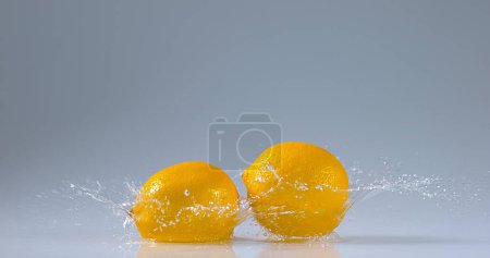 Photo for Yellow Lemons, citrus limonum, Fruits falling on Water - Royalty Free Image