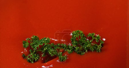 Foto de Perejil, Petroselinum crispum, cayendo en el jugo de tomate - Imagen libre de derechos