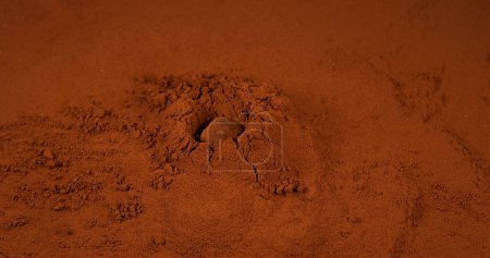 Foto de Trufa de chocolate cayendo en polvo de chocolate - Imagen libre de derechos