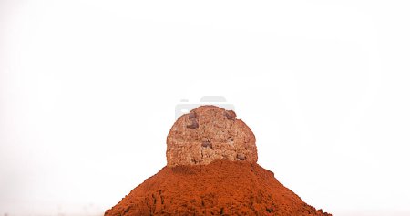Photo for Cookie falling into Black Powder Chocolate - Royalty Free Image