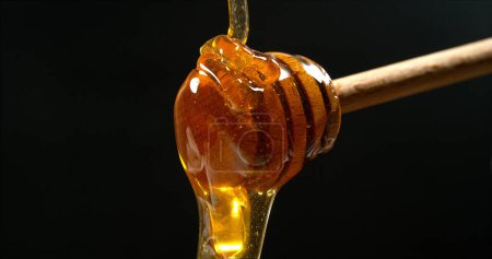 Téléchargez les photos : Miel coulant dans une cuillère sur fond noir - en image libre de droit