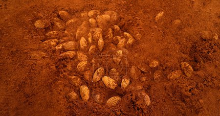 Photo for Almonds Falling in Black Chocolate Powder - Royalty Free Image