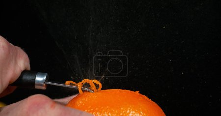 Photo for Orange zest, citrus sinensis, against Black background - Royalty Free Image