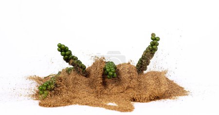 Foto de Pimienta verde fresca, piper nigrum, especia que cae en pimienta molida sobre fondo blanco - Imagen libre de derechos