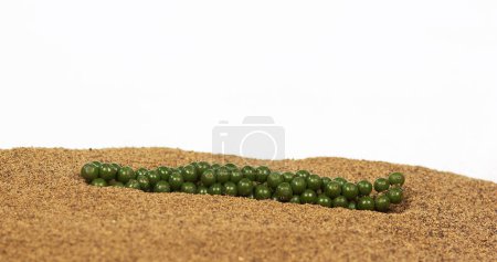 Photo for Fresh green pepper, piper nigrum, spice falling in pepper ground on white background - Royalty Free Image