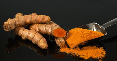Photo for Turmeric, Turmeric Longa, Roots and Powder on Black Background, Indian Spice - Royalty Free Image
