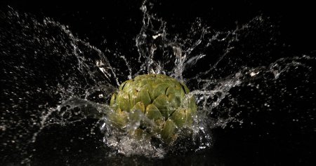 Photo for Artichoke, Cynara scolymus, Vegetables Falling Into Water on Black Background - Royalty Free Image