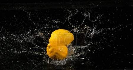 Téléchargez les photos : Jaune citron, Citrus limonum, Fruits tombant dans l'eau sur fond noir - en image libre de droit