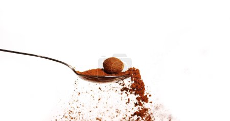 Photo for Nutmeg, myristica fragans, Nut falling on Nutmeg Powder against White Background - Royalty Free Image