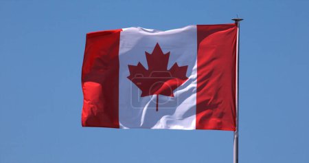 Foto de Bandera canadiense ondeando en el viento contra el cielo azul. - Imagen libre de derechos