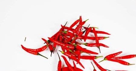 Photo for Red Chili Peppers, capsicum annuum falling against With Background - Royalty Free Image
