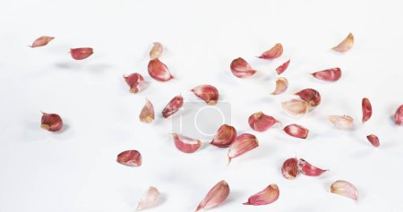 Photo for Garlic, allium savitum, Falling against White Background - Royalty Free Image