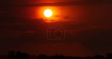 Foto de Puesta de sol en Camargue en el sureste de Francia - Imagen libre de derechos