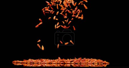 Téléchargez les photos : Cayenne Chili Pepper, capsicum frutescens, épice tombant sur fond noir - en image libre de droit