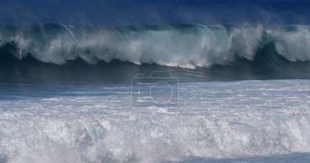 Foto de Waves in Atlantic Ocean, Porto Moniz, Madeira Island Portugal - Imagen libre de derechos