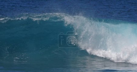 Téléchargez les photos : Waves in Atlantic Ocean, Porto Moniz, Madeira Island Portugal - en image libre de droit
