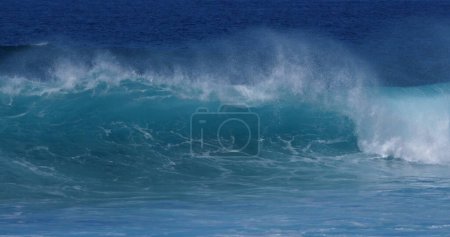 Téléchargez les photos : Vagues dans l'océan Atlantique, Porto Moniz, Madère Portugal - en image libre de droit