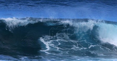 Photo for Waves in Atlantic Ocean, Porto Moniz, Madeira Island Portugal - Royalty Free Image