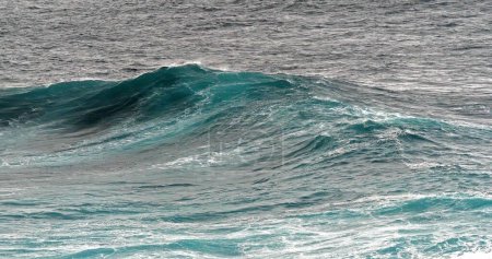 Photo for Waves in Atlantic Ocean, Porto Moniz, Madeira Island Portugal - Royalty Free Image