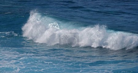 Téléchargez les photos : Waves in Atlantic Ocean, Porto Moniz, Madeira Island Portugal - en image libre de droit