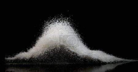 Photo for Coconut, cocos nucifera, Powder falling against Black Background - Royalty Free Image