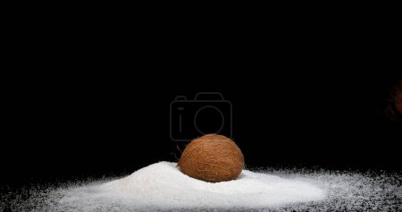 Photo for Coconut, cocos nucifera, Fruit and Powder Exploding against Black Background - Royalty Free Image