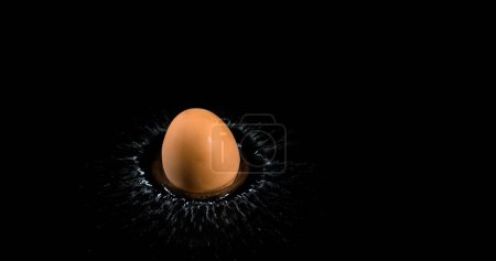 Photo for Egg Falling on Water against Black Background - Royalty Free Image