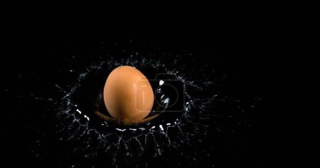 Photo for Egg Falling on Water against Black Background - Royalty Free Image