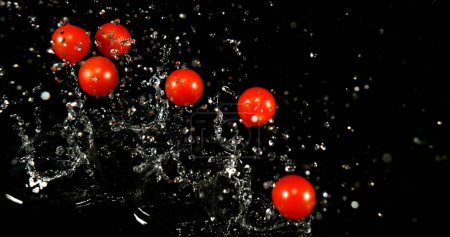 Téléchargez les photos : Tomates cerises, solanum lycopersicum, fruits tombant sur l'eau sur fond noir - en image libre de droit