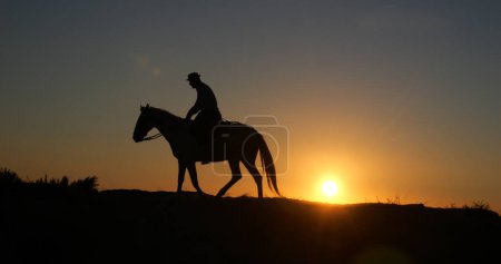 Téléchargez les photos : Homme sur son cheval de Camargue, qui galope au lever du soleil, Manadier aux Saintes Marie de la Mer en Camargue, dans le sud de la France, cow boy - en image libre de droit