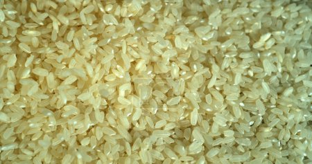 Photo for Rice falling against Black Background - Royalty Free Image