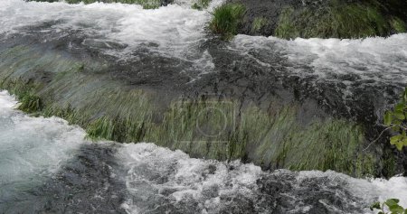 Foto de Cascada, Río, Parque natural de Krka, Cerca de Sibenik en Damaltia, Croacia - Imagen libre de derechos