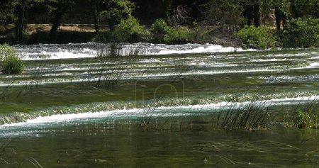 Téléchargez les photos : Cascade, Rivière, Parc Naturel Krka, Près de Sibenik à Damaltia, Croatie - en image libre de droit