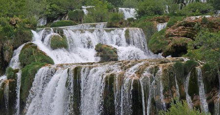 Photo for Waterfall, Krka Natural Park, Near Sibenik in Damaltia, Croatia - Royalty Free Image