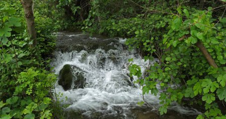 Foto de Cascada, Río, Parque natural de Krka, Cerca de Sibenik en Damaltia, Croacia - Imagen libre de derechos