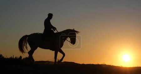 Photo for Man on his Camargue Horse at Sunrise, Manadier in Saintes Maries de la Mer in Camargue, in the South of France , Cow Boy - Royalty Free Image
