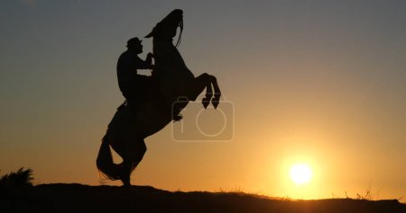 Téléchargez les photos : Un homme sur son cheval camarguais qui frappe au lever du soleil, Manadier aux Saintes Maries de la Mer en Camargue, dans le sud de la France, cow boy - en image libre de droit