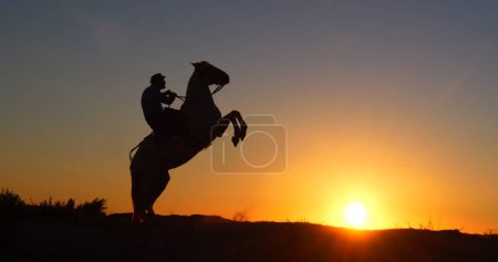 Photo for Man on his Camargue Horse Kicking at Sunrise, Manadier in Saintes Maries de la Mer in Camargue, in the South of France , Cow Boy - Royalty Free Image