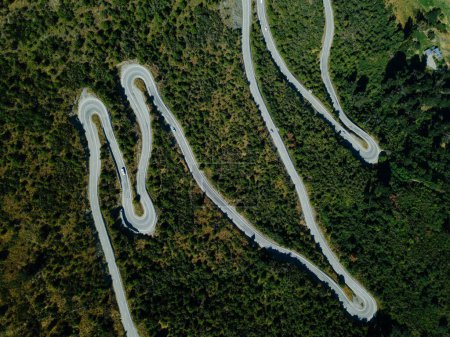Dramatic aerial shot of a winding road through dense greenery