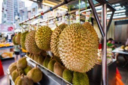 Téléchargez les photos : Durian fruit in fruit market in Asia. Le durian est le fruit comestible de plusieurs espèces d'arbres appartenant au genre Durio. - en image libre de droit