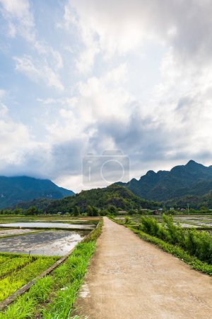 Photo for Mai Chau village landscape with rice paddy fields in North Vietnam. Mai Cau is a countryside are popular for tourists - Royalty Free Image