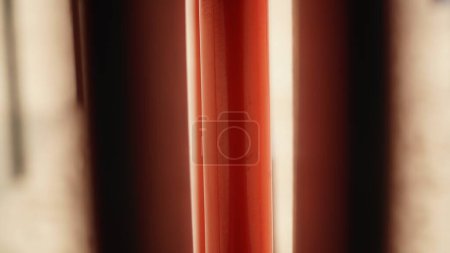 Abstract Reflection Effect, Red Tube with Light Reflection The image portrays an abstract reflection effect featuring a red tube with a light reflex. This artistic composition captures the interplay of light and color, creating a visually intriguing