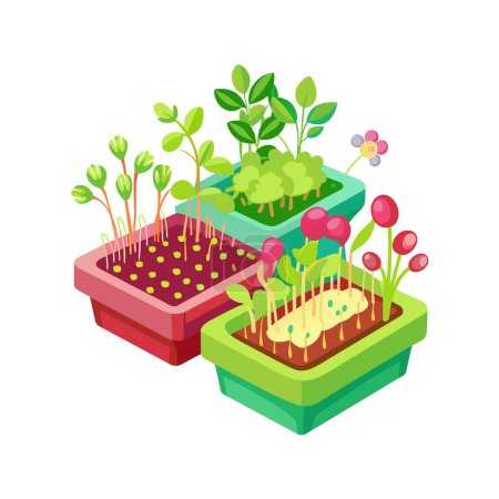 Houseplant in pot vector illustration concept