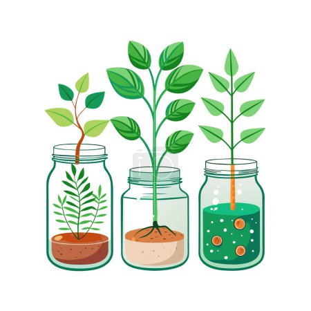 Houseplant in pot vector illustration concept